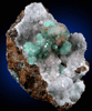 Calcite over Rosasite from Silver Bill Mine, Courtland-Gleeson District, Cochise County, Arizona