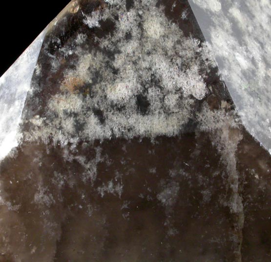 Quartz var. Smoky Quartz from Hobbs Brook, east slope of Blue Mountain, Albany, Carroll County, New Hampshire