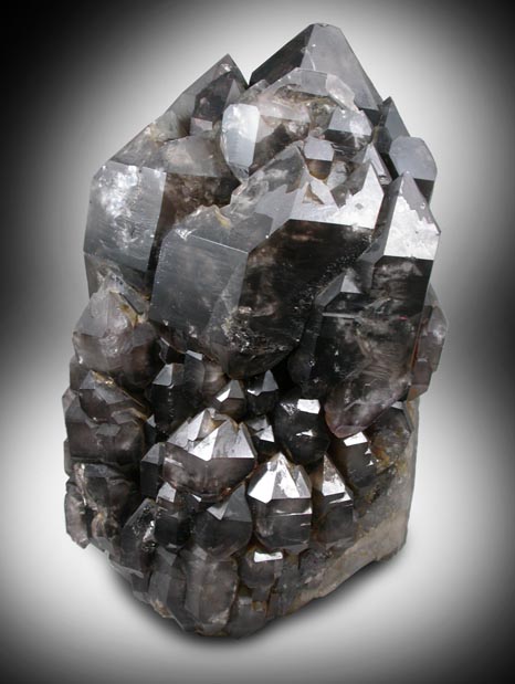 Quartz var. Smoky Quartz over Milky Quartz from Black Cap Mountain, upper workings, east of North Conway, Carroll County, New Hampshire