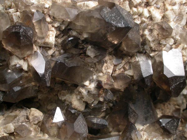 Quartz var. Smoky Quartz (Dauphin-law twins) on Microcline from Moat Mountain, west of North Conway, Carroll County, New Hampshire