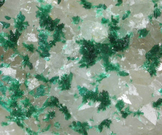 Brochantite on Quartz from Blanchard Mine, Hansonburg District, 8.5 km south of Bingham, Socorro County, New Mexico