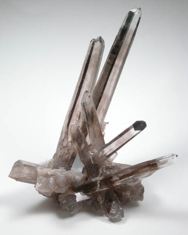 Quartz var. Smoky Quartz from Sierra Blanca, White Mountain Wilderness, Lincoln County, New Mexico