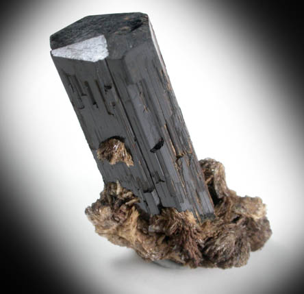 Arfvedsonite (rare terminated crystal) on Albite from Hurricane Mountain, east of Intervale, Carroll County, New Hampshire