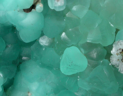 Smithsonite with Hemimorphite from San Antonio el Grande Mine, Santa Eulalia, Aquiles Serdn, Chihuahua, Mexico