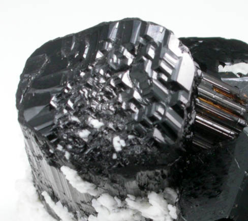 Schorl Tourmaline on Albite from Escondido Mine, Conselheiro Pea, Minas Gerais, Brazil