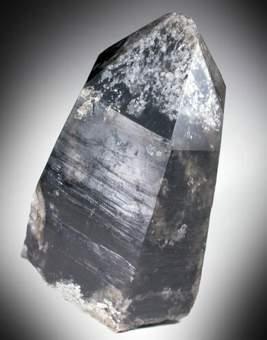 Quartz var. Smoky Quartz from Hobbs Brook, east slope of Blue Mountain, Albany, Carroll County, New Hampshire