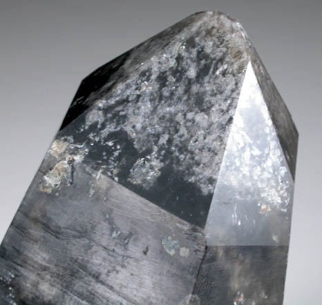 Quartz var. Smoky Quartz from Hobbs Brook, east slope of Blue Mountain, Albany, Carroll County, New Hampshire