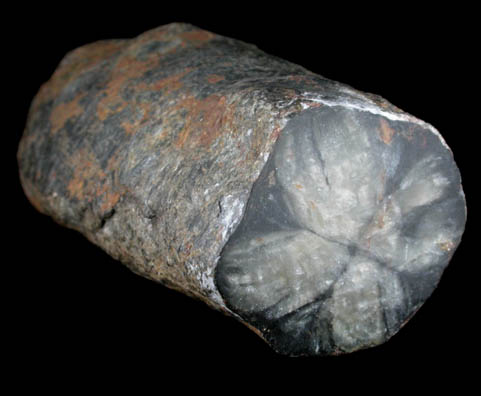 Andalusite var. Chiastolite from Boston Mine, Acton, York County, Maine