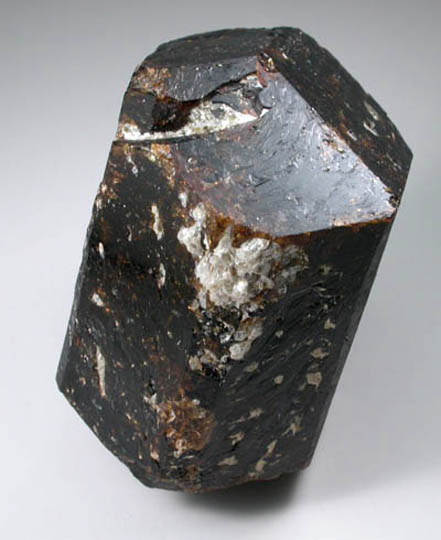 Dravite Tourmaline from Yinnietharra Station, Pilbara, Western Australia, Australia