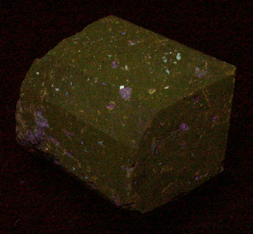 Dravite Tourmaline from Yinnietharra Station, Pilbara, Western Australia, Australia