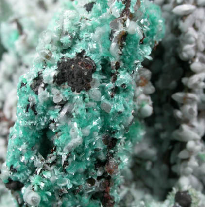 Aurichalcite and Smithsonite from Kelly Mine, Magdalena District, Socorro County, New Mexico
