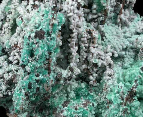 Aurichalcite and Smithsonite from Kelly Mine, Magdalena District, Socorro County, New Mexico