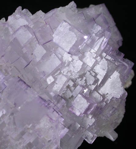 Fluorite from Melchor Muzquiz, Coahuila, Mexico