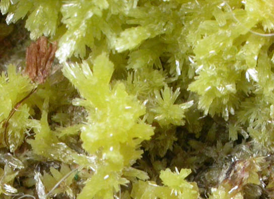 Pyromorphite from Broken Hill, New South Wales, Australia