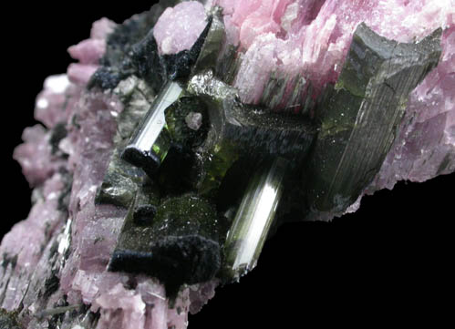 Elbaite Tourmaline and Lepidolite from Pederneira Mine, Sao Jose da Safira, Minas Gerais, Brazil