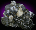 Magnetite, Calcite, Fluorapatite, Quartz from Dashkesan, 28 km southwest of Ganja (Kirovabad), Azerbaijan