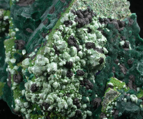 Adamite var. Cuproadamite, Duftite, Malachite, Azurite from Tsumeb Mine, Otavi-Bergland District, Oshikoto, Namibia (Type Locality for Duftite)