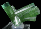 Elbaite Tourmaline from Santa Rosa Mine, Itambacuri, Minas Gerais, Brazil