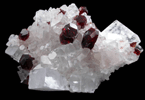 Uvite Tourmaline on Magnesite from Brumado District, Serra das guas, Bahia, Brazil