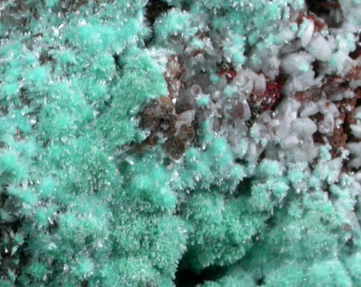 Aurichalcite and Smithsonite from Kelly Mine, Magdalena District, Socorro County, New Mexico