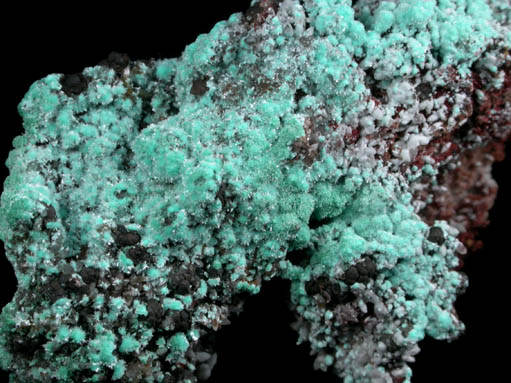 Aurichalcite and Smithsonite from Kelly Mine, Magdalena District, Socorro County, New Mexico