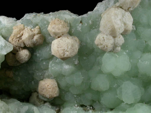Analcime on Prehnite from Upper New Street Quarry, Paterson, Passaic County, New Jersey