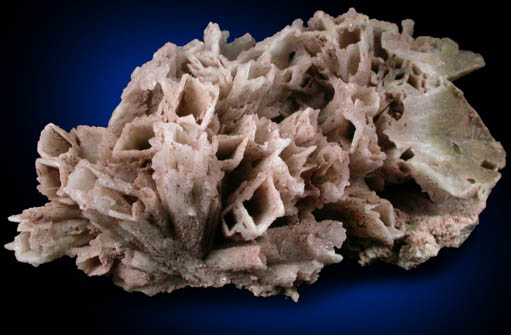 Quartz pseudomorphs after Glauberite from McDowell's Quarry, Upper Montclair, Essex County, New Jersey