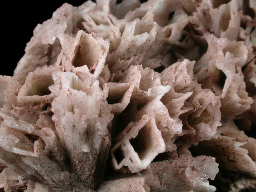 Quartz pseudomorphs after Glauberite from McDowell's Quarry, Upper Montclair, Essex County, New Jersey