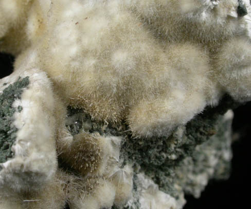 Natrolite from New Haven Trap Rock Quarry, Cheshire, New Haven County, Connecticut