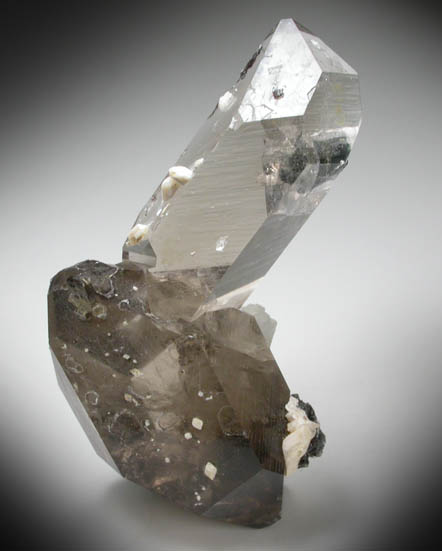 Quartz var. Smoky Quartz (distorted) from Minas Gerais, Brazil