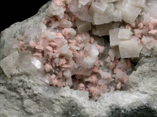 Chabazite-Ca, Prehnite, Albite, Heulandite, Quartz from Lower New Street Quarry, Paterson, Passaic County, New Jersey