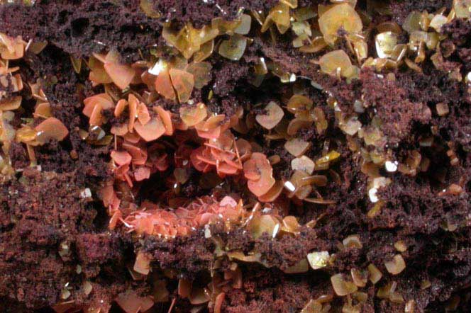 Wulfenite on Limonite from Defiance Mine, Courtland-Gleeson District, Cochise County, Arizona