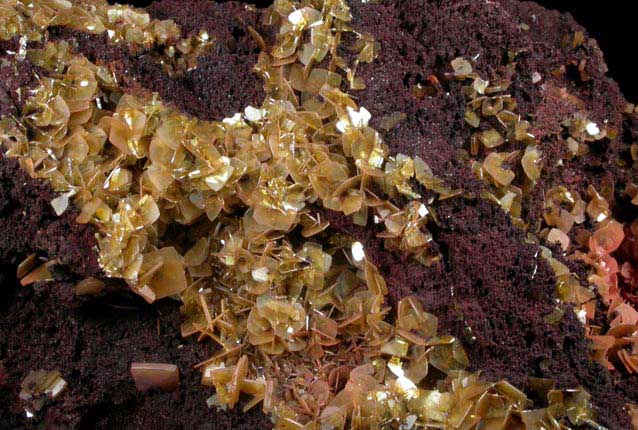 Wulfenite on Limonite from Defiance Mine, Courtland-Gleeson District, Cochise County, Arizona