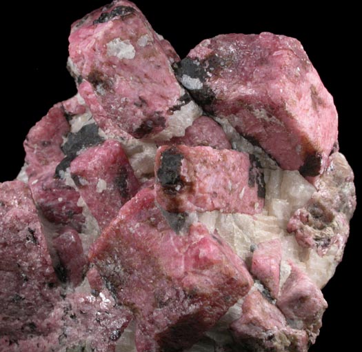 Rhodonite, Franklinite, Calcite, Andradite from Franklin, Sussex County, New Jersey (Type Locality for Franklinite)