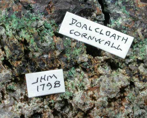 Bornite from Dolcoath Mine, Tuckingmill, Camborne District, Cornwall, England