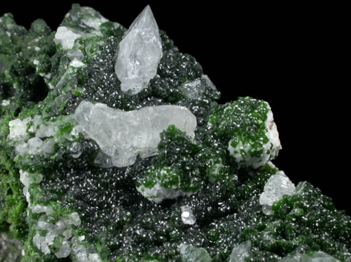 Cerussite on Adamite var. Cuproadamite from Tsumeb Mine, Otavi-Bergland District, Oshikoto, Namibia