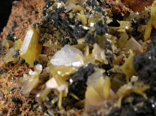 Wulfenite with Calcite from Stevenson-Bennett Mine, Organ Mountains, Doa Ana County, New Mexico