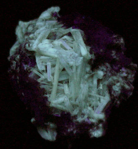 Cerussite from Elkhorn District, Jefferson County, Montana