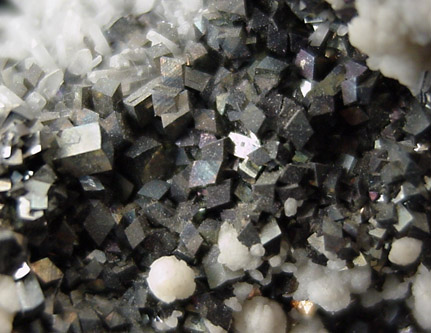 Arsenopyrite, Quartz, Calcite from Mina el Potos, Santa Eulalia District, Aquiles Serdn, Chihuahua, Mexico