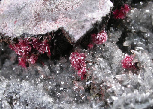 Erythrite on Quartz from Bou Azzer District, Anti-Atlas Mountains, Tazenakht, Ouarzazate, Morocco (Type Locality for Erythrite)