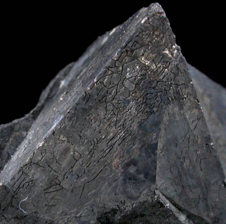 Tetrahedrite from Black Pine Mine, Flint Creek Valley, Granite County, Montana