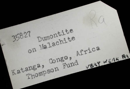 Dumontite on Malachite from Shinkolobwe Mine, 22 km WSW of Likasi, Katanga Copperbelt, Haut-Katanga Province, Democratic Republic of the Congo (Type Locality for Dumontite)