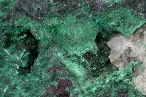 Dumontite on Malachite from Shinkolobwe Mine, 22 km WSW of Likasi, Katanga Copperbelt, Haut-Katanga Province, Democratic Republic of the Congo (Type Locality for Dumontite)