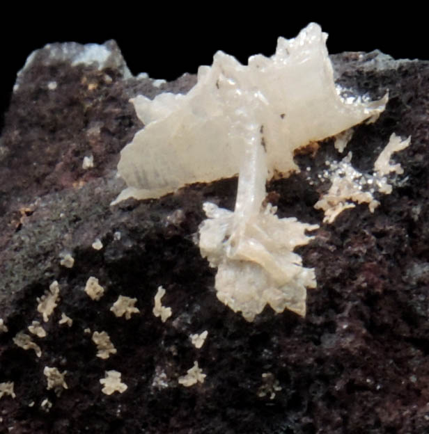 Cerussite from Victoria, Australia