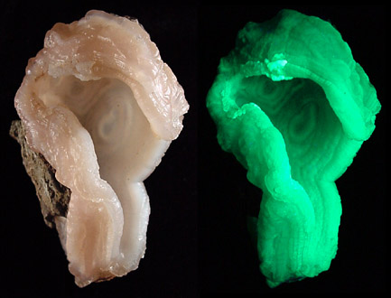 Quartz var. Chalcedony (fluorescent) from Yankee Dog Claim, Hidalgo County, New Mexico