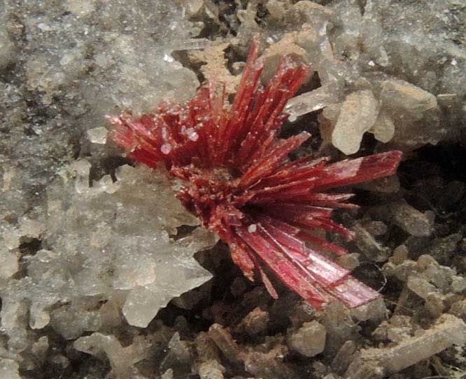 Erythrite on Quartz from Sara Alicia Mine, San Bernardo, Sonora, Mexico