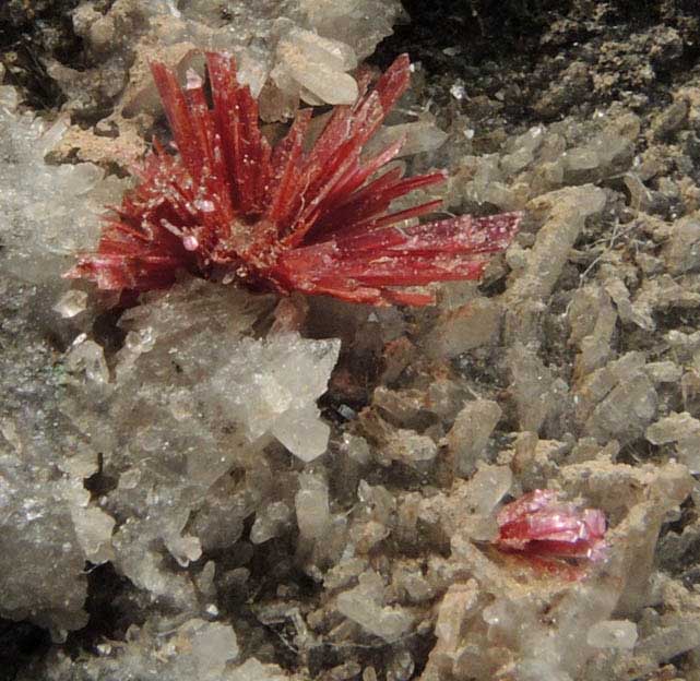 Erythrite on Quartz from Sara Alicia Mine, San Bernardo, Sonora, Mexico