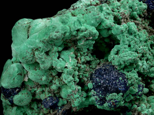 Malachite and Azurite from Sierra Rica, Manuel Benavides, Chihuahua, Mexico