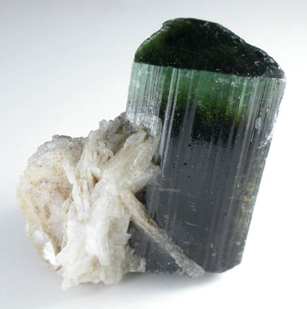 Elbaite Tourmaline with Albite from Stak Nala, Skardu Road, Baltistan, Gilgit-Baltistan, Pakistan