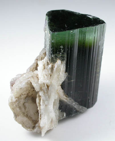 Elbaite Tourmaline with Albite from Stak Nala, Skardu Road, Baltistan, Gilgit-Baltistan, Pakistan